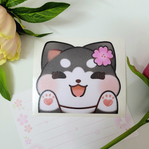 Sakura Blossom Husky Peeker