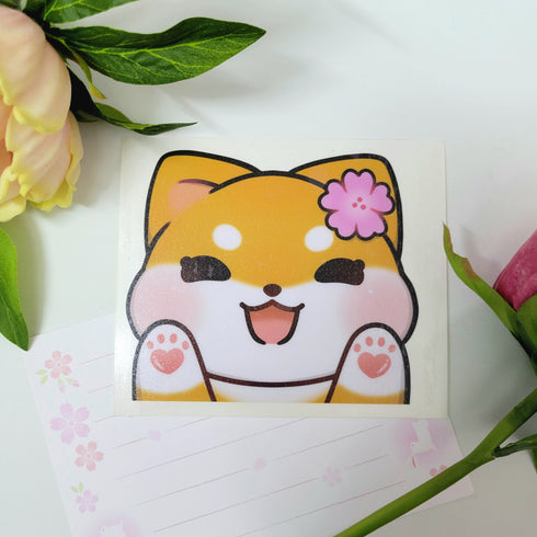 Sakura Blossom Shiba Peeker