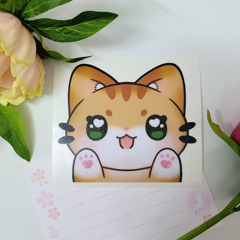 Ginger Tabby Kitty Peeker