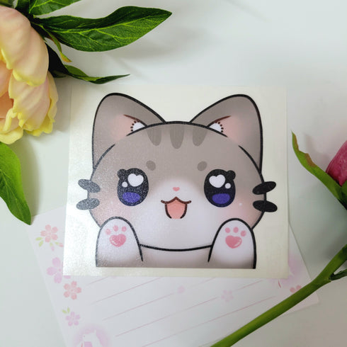 Silver Tabby Kitty Peeker